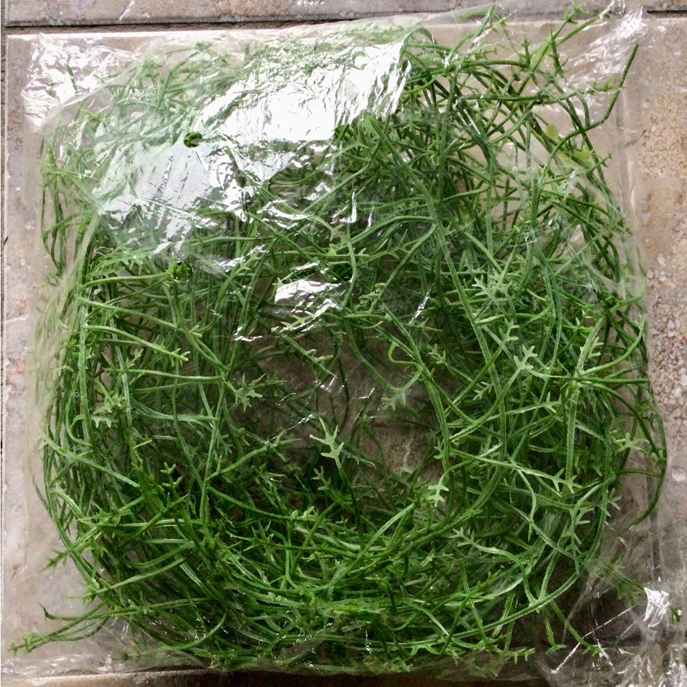 New! Decorative Artificial Vine Greenery Strands